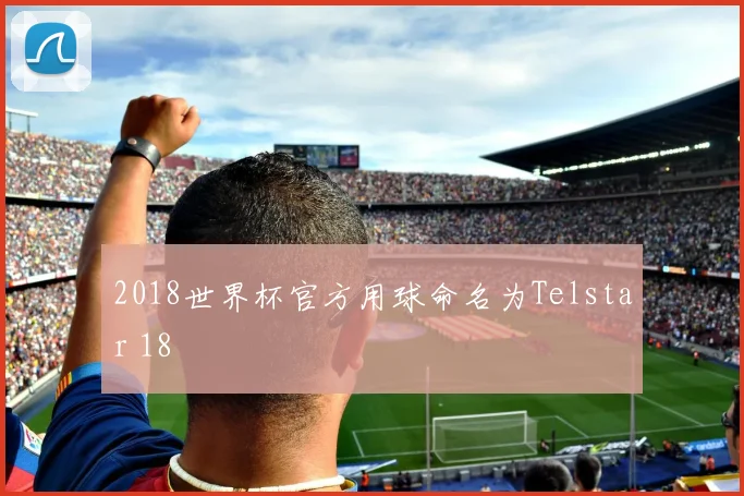 2018世界杯官方用球命名为Telstar 18