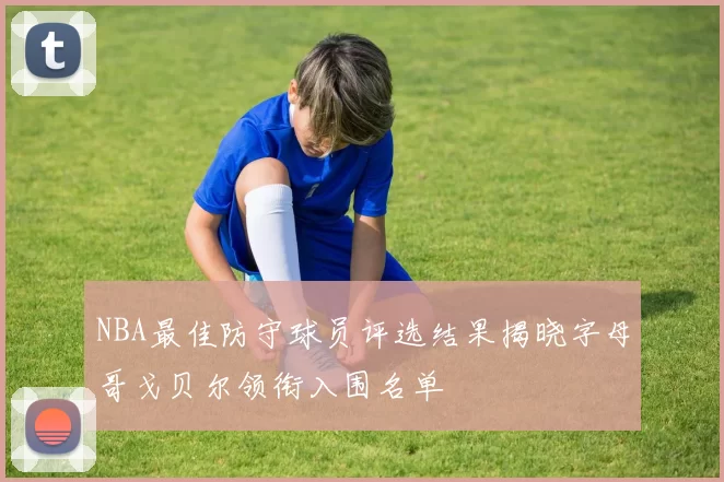 NBA最佳防守球员评选结果揭晓字母哥戈贝尔领衔入围名单