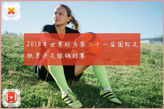2018年世界杯为第二十一届国际足联男子足球锦标赛