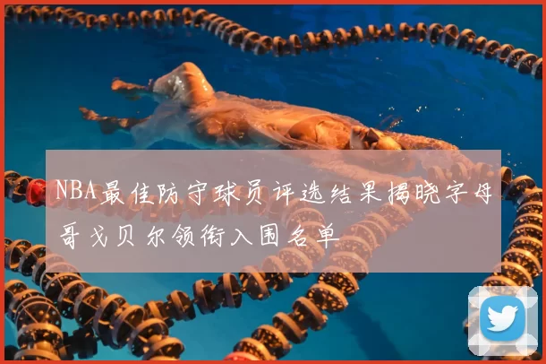 NBA最佳防守球员评选结果揭晓字母哥戈贝尔领衔入围名单